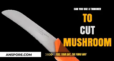 Using a Trimmer to Cut Mushrooms: Creative Kitchen Hack or Mistake?