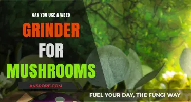 Can You Grind Mushrooms with a Weed Grinder? Find Out!