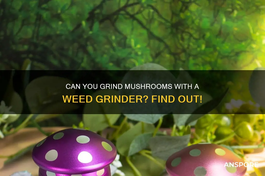 can you use a weed grinder for mushrooms