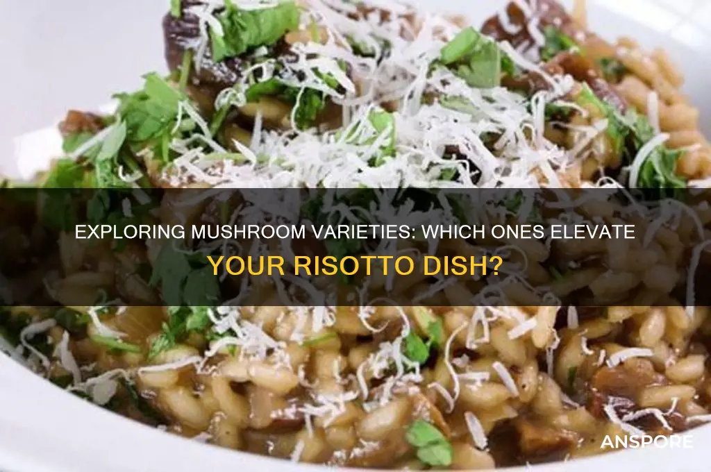 can you use any type of mushroom in risotto