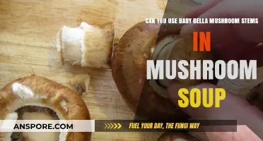 Using Baby Bella Mushroom Stems in Soup: Tips and Tricks