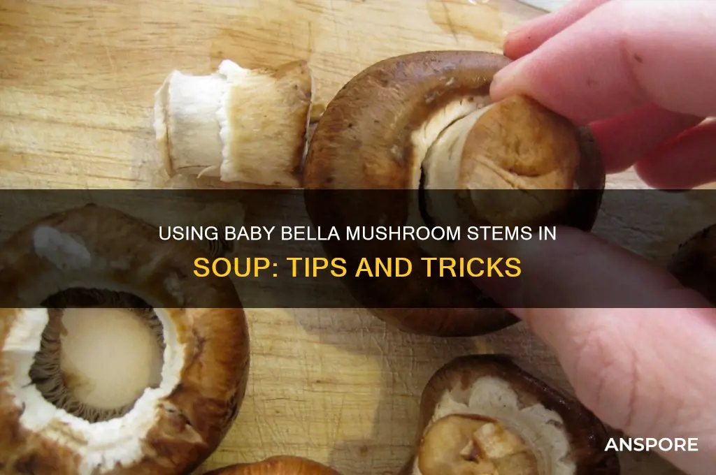 can you use baby bella mushroom stems in mushroom soup