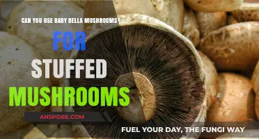 Stuffed Mushrooms with Baby Bellas: A Delicious and Easy Recipe