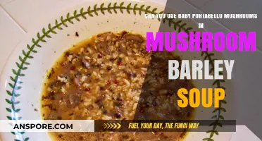 Baby Portobello Mushrooms in Mushroom Barley Soup: A Tasty Twist?