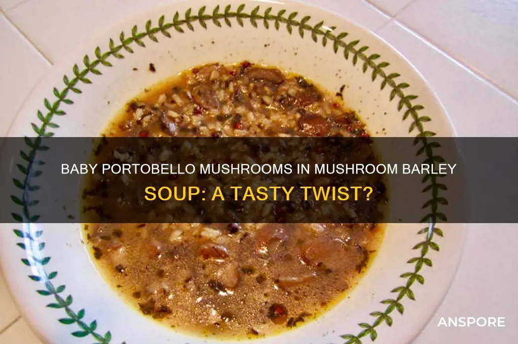 can you use baby portabello mushrooms in mushroom barley soup