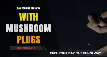 Beeswax and Mushroom Plugs: A Compatible Pair for Myco-Gardening?