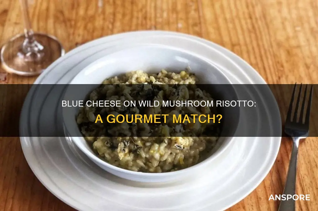 can you use blue cheese on wild mushroom risotto