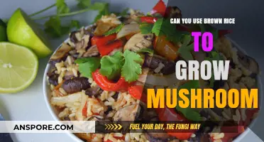 Growing Mushrooms with Brown Rice: A Simple Substrate Solution