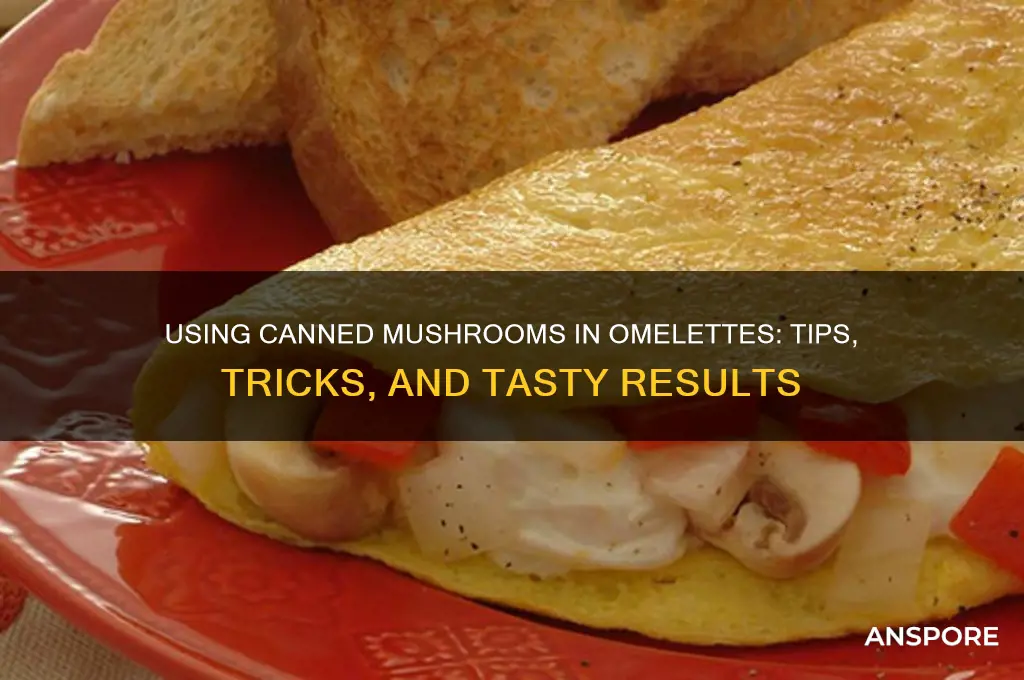 can you use canned mushrooms in an omelette