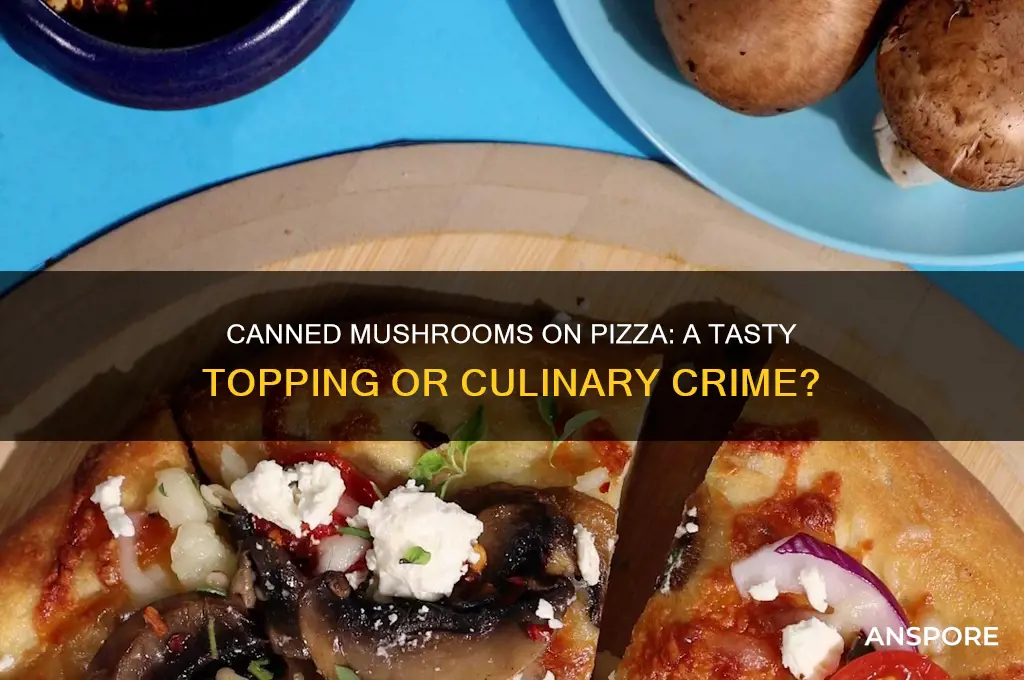 can you use canned mushrooms on pizza