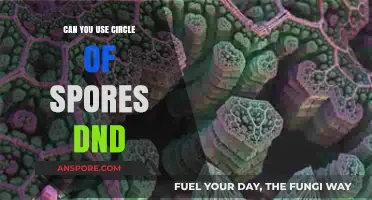 Mastering Circle of Spores: Effective Use in D&D Campaigns