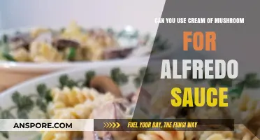 Cream of Mushroom as Alfredo Sauce: A Tasty Substitute?