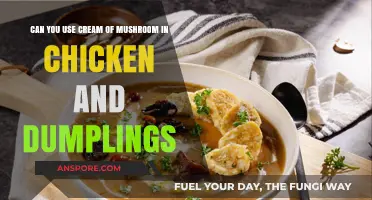 Cream of Mushroom in Chicken and Dumplings: A Tasty Twist?