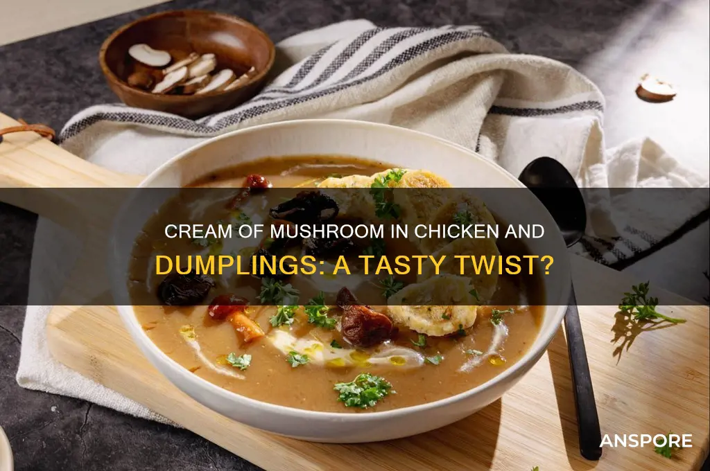 can you use cream of mushroom in chicken and dumplings