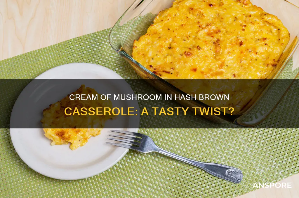 can you use cream of mushroom in hash brown casserole