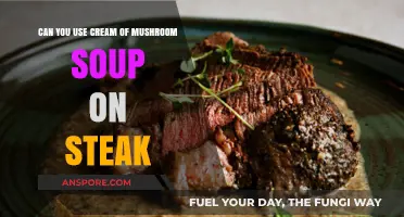 Cream of Mushroom Soup on Steak: A Surprising Culinary Twist?