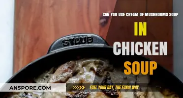 Cream of Mushroom Soup in Chicken Soup: A Flavorful Twist?
