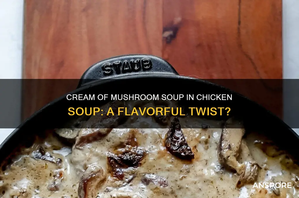can you use cream of mushrooms soup in chicken soup