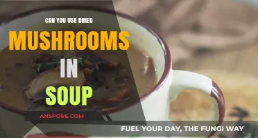 Using Dried Mushrooms in Soup: Tips, Benefits, and Flavor Boosts