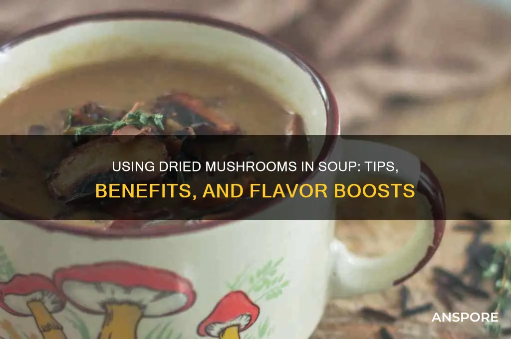 can you use dried mushrooms in soup