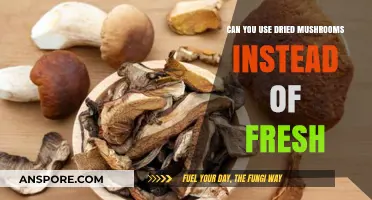 Dried vs. Fresh Mushrooms: Which One Should You Use?