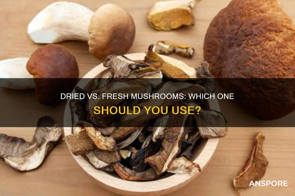 can you use dried mushrooms instead of fresh