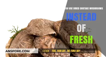 Dried Shiitake Mushrooms: A Fresh Alternative in Your Kitchen?