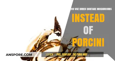 Dried Shiitake vs. Porcini: Can You Substitute in Recipes?