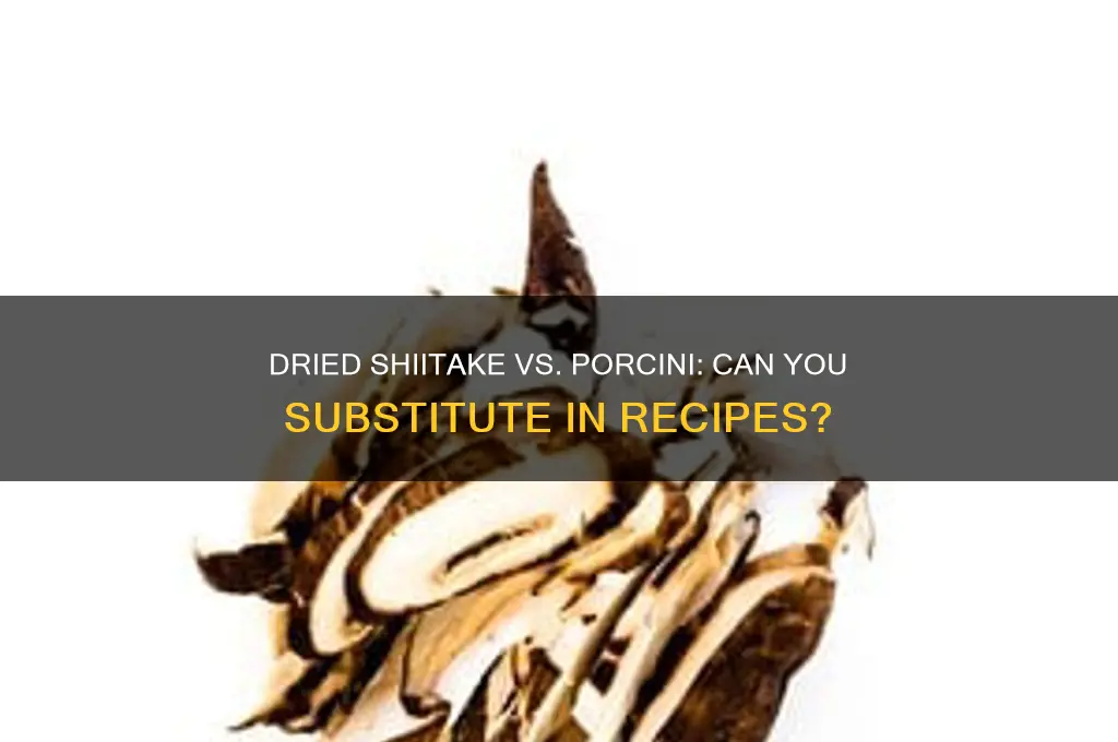 can you use dried shiitake mushrooms instead of porcini