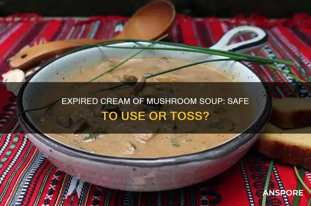 can you use expired cream of mushroom soup