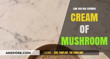Is Expired Cream of Mushroom Safe to Use? Find Out Now