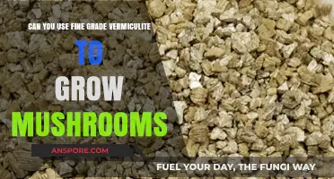 Growing Mushrooms with Fine Grade Vermiculite: A Comprehensive Guide