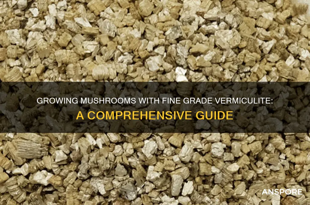 can you use fine grade vermiculite to grow mushrooms