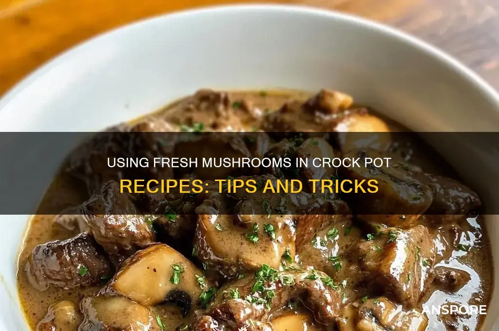 can you use fresh mushrooms in crock pot