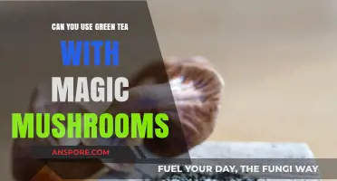 Green Tea and Magic Mushrooms: A Safe or Risky Combo?