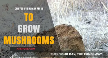 Human Waste to Mushroom Growth: Unveiling the Surprising Possibility