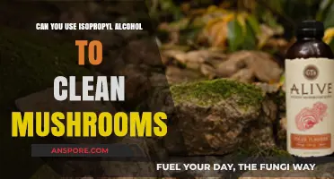 Isopropyl Alcohol for Mushroom Cleaning: Safe or Risky Method?