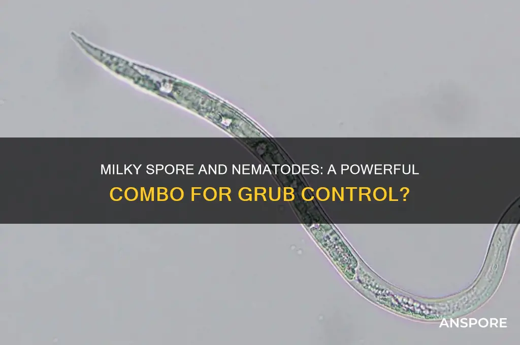 can you use milky spore and nematodes together