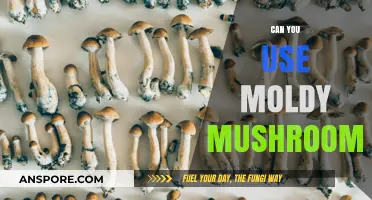 Moldy Mushrooms: Safe to Use or Toss? Expert Advice