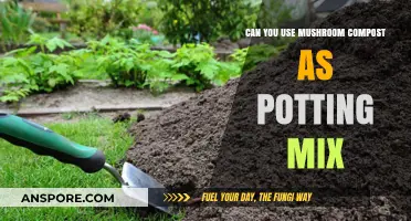Mushroom Compost as Potting Mix: Benefits, Uses, and Precautions