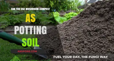 Mushroom Compost as Potting Soil: Benefits, Uses, and Best Practices