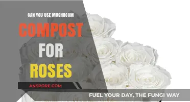 Mushroom Compost for Roses: Benefits, Tips, and Best Practices