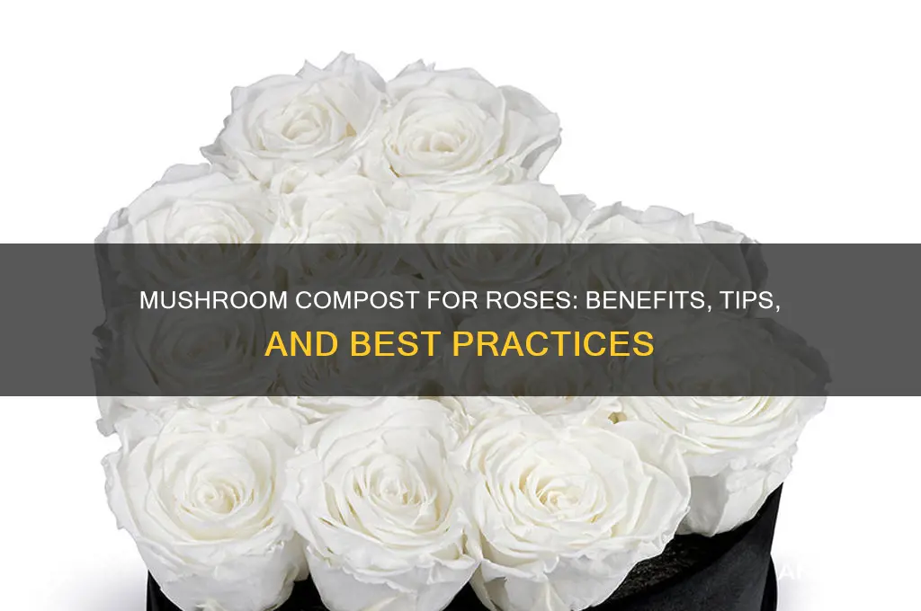 can you use mushroom compost for roses