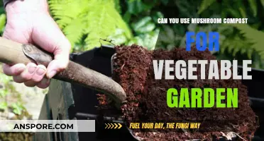 Mushroom Compost for Vegetable Gardens: Benefits, Uses, and Tips