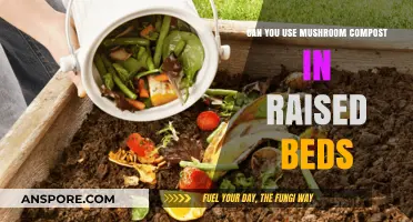 Using Mushroom Compost in Raised Beds: Benefits and Best Practices
