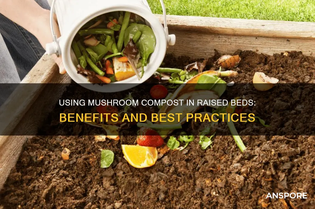 can you use mushroom compost in raised beds