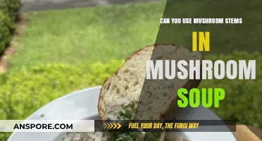 Mushroom Stems in Soup: A Tasty Addition or Waste?