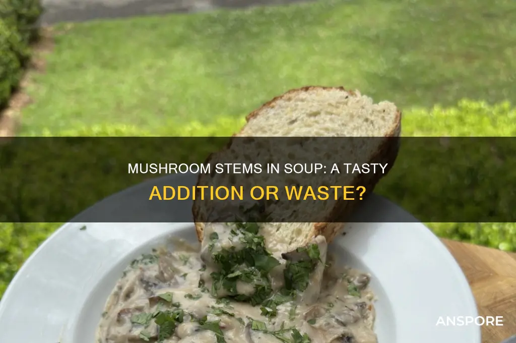 can you use mushroom stems in mushroom soup