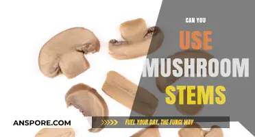 Mushroom Stems: Edible, Nutritious, and Creative Culinary Uses Explored