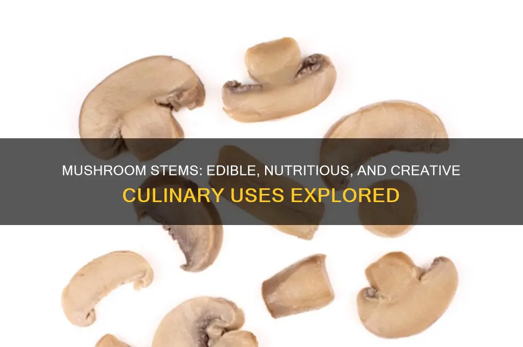 can you use mushroom stems